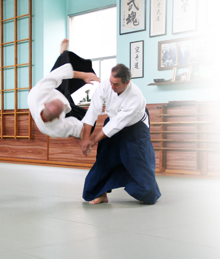 Home JITAKYOEI BUDO & WUSHU Università Europea Arti Marziali e Cultura Orientale